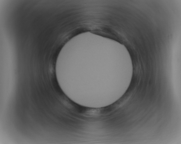 X0000111160084200908111202
