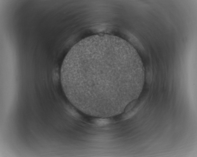 X0000111160085200908111202