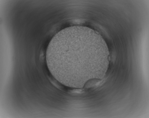 X0000111160086200908111202
