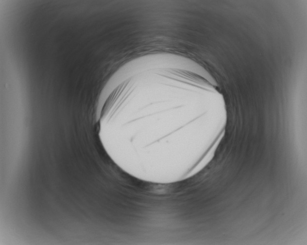 X0000111160088200908111202