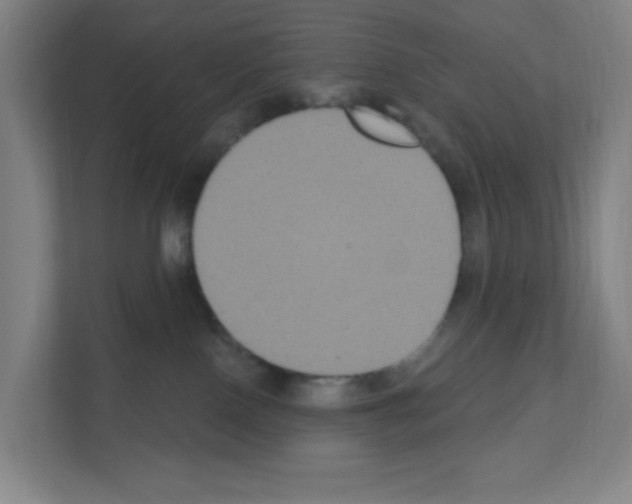 X0000111160090200908111202