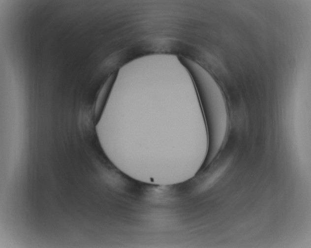 X0000111160092200908111202