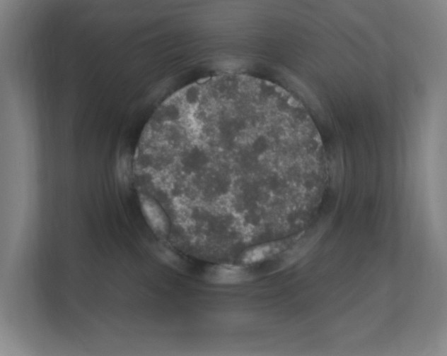 X0000111160093200908111202