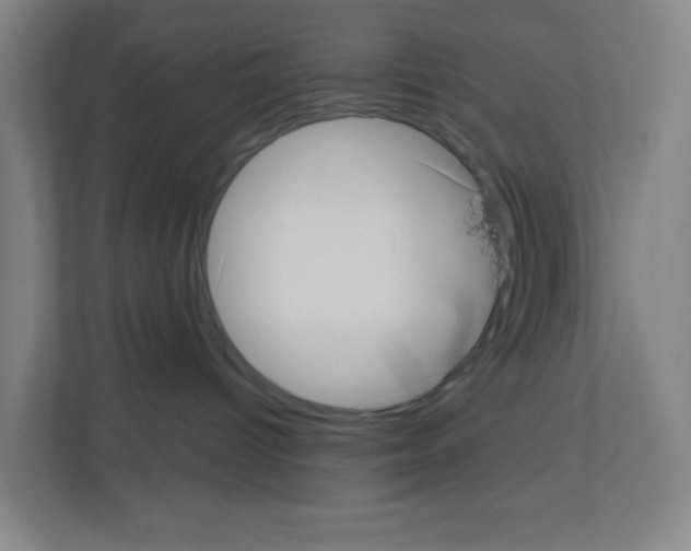 X0000111160096200908111203