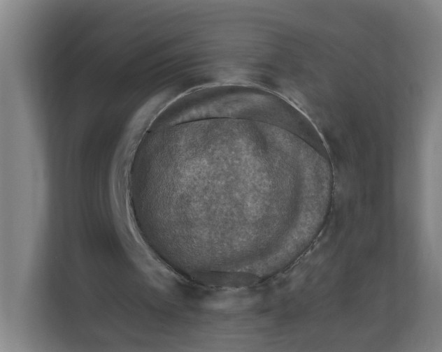 X0000111160097200908111202