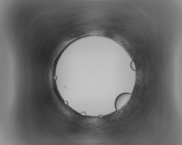 X0000111160098200908111202