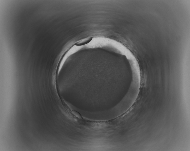 X0000111160099200908111202