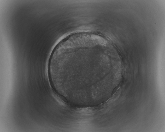 X0000111160100200908111202