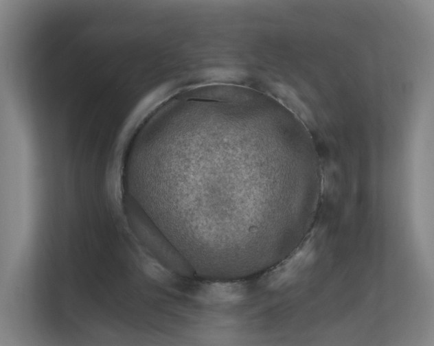X0000111160101200908111202