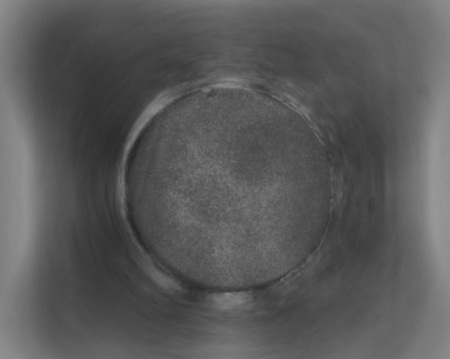 X0000111160102200908111202