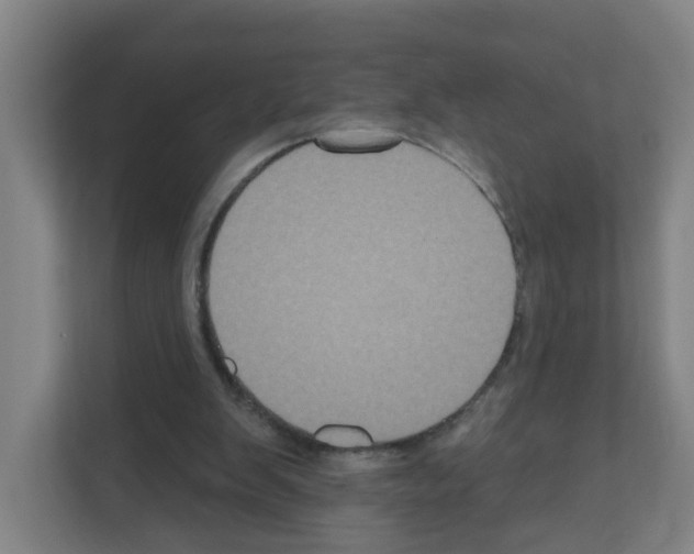 X0000111160103200908111202