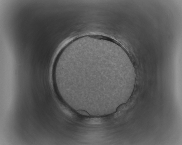 X0000111160104200908111202