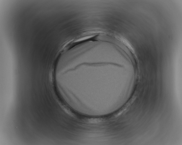 X0000111160105200908111202
