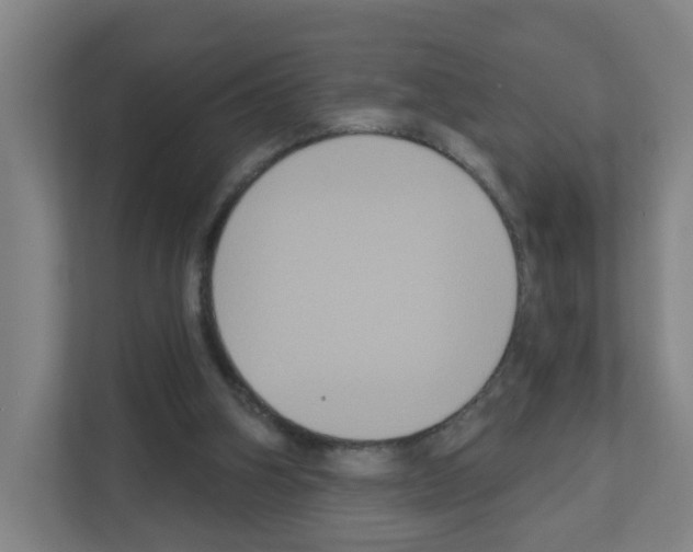 X0000111160106200908111202