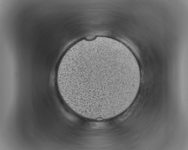 X0000111160107200908111202