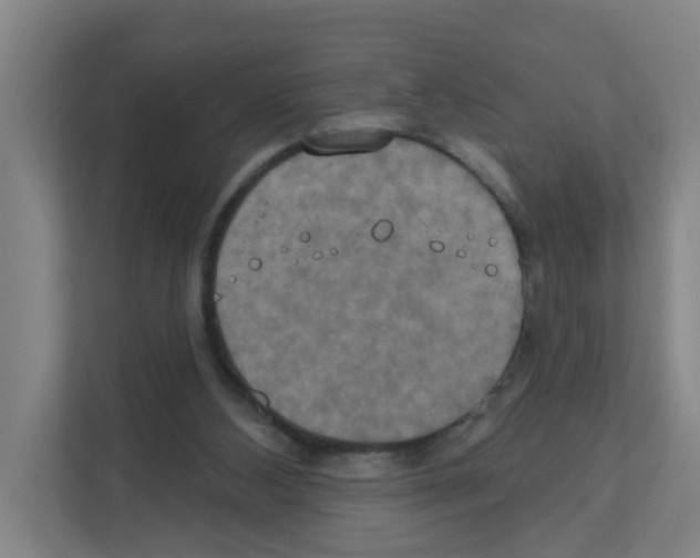 X0000111160108200908111202