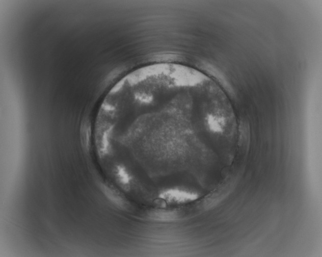 X0000111160110200908111202