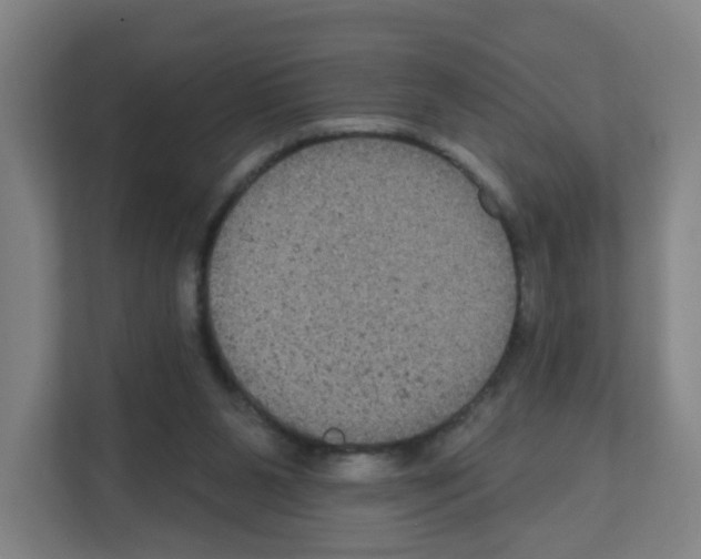 X0000111160111200908111202