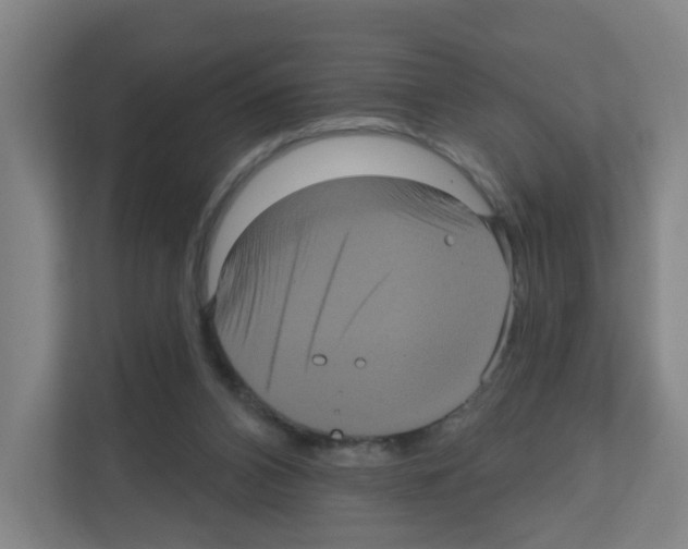 X0000111160112200908111202