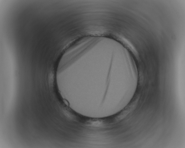 X0000111160113200908111202