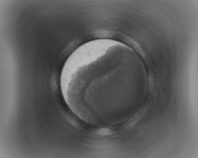 X0000111160114200908111202