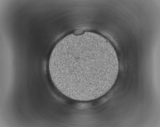 X0000111160115200908111202