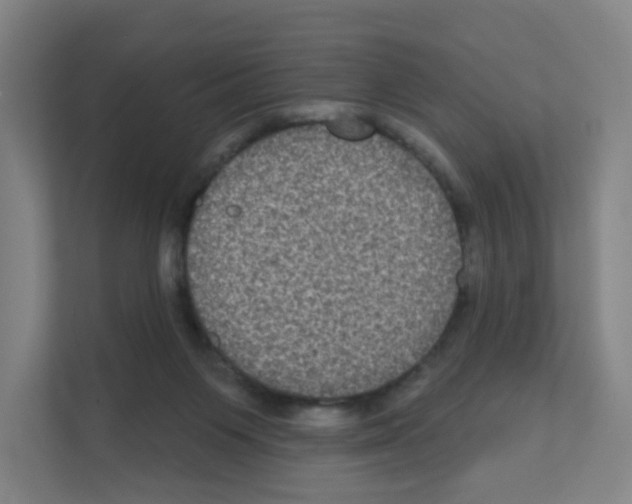 X0000111160119200908111202