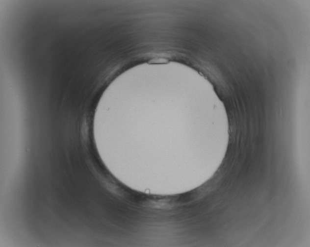 X0000111160120200908111202