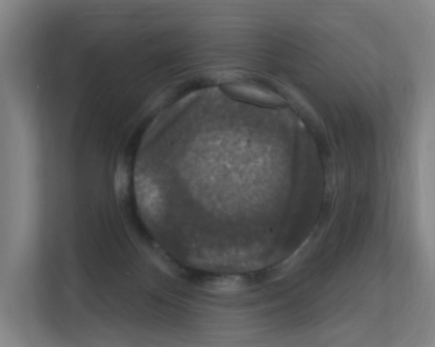 X0000111160124200908111202