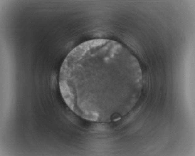 X0000111160127200908111202