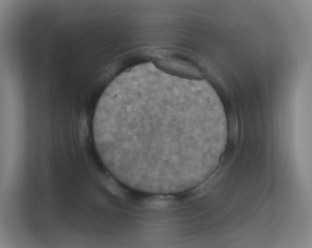 X0000111160128200908111202