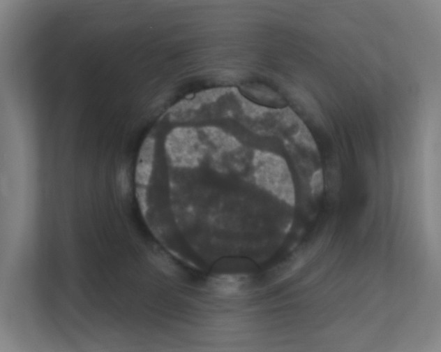 X0000111160131200908111201
