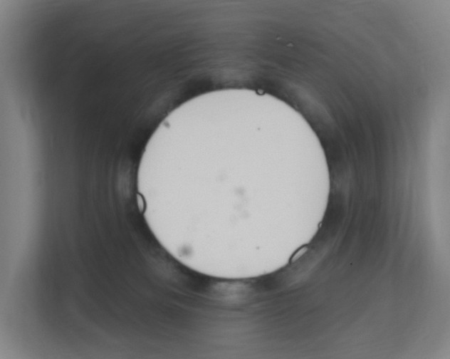 X0000111160133200908111201