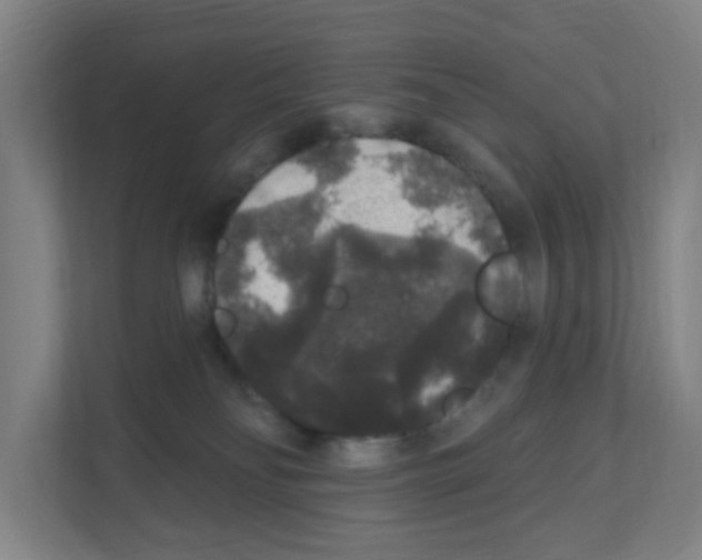 X0000111160134200908111201