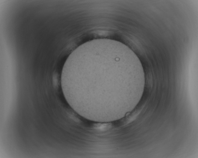 X0000111160135200908111201