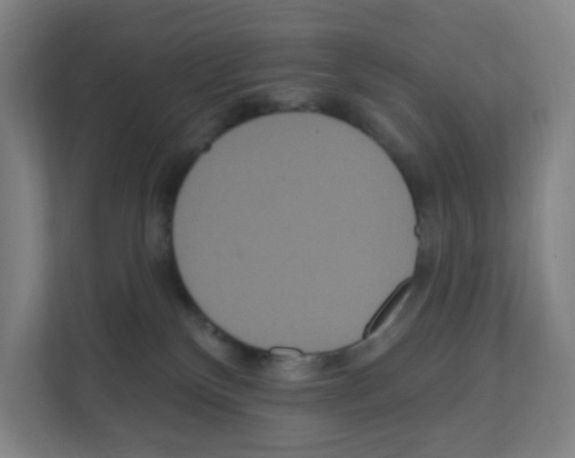 X0000111160136200908111201