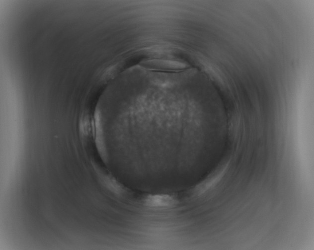 X0000111160137200908111201