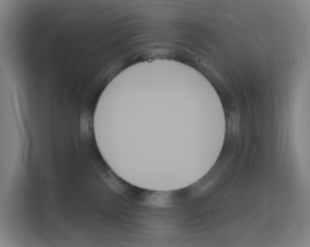 X0000111160138200908111201
