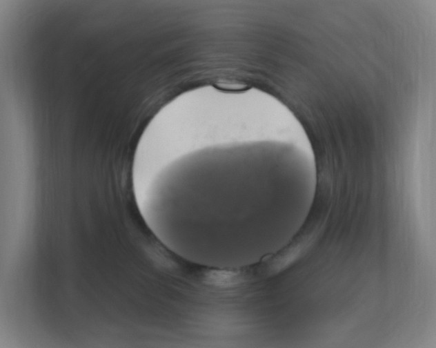 X0000111160139200908111201