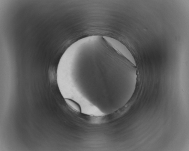 X0000111160143200908111201