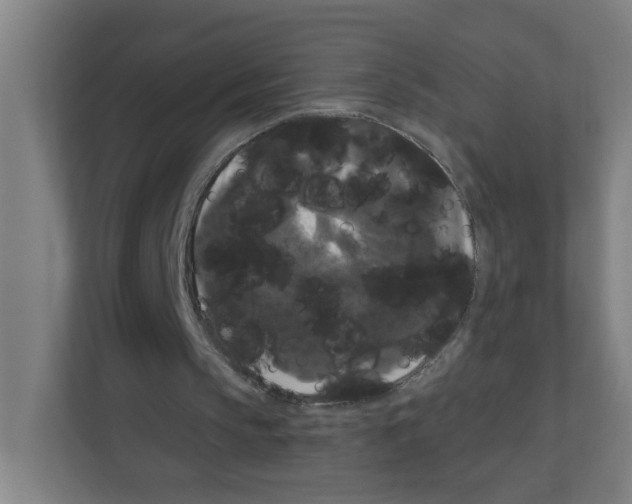 X0000111160145200908111201