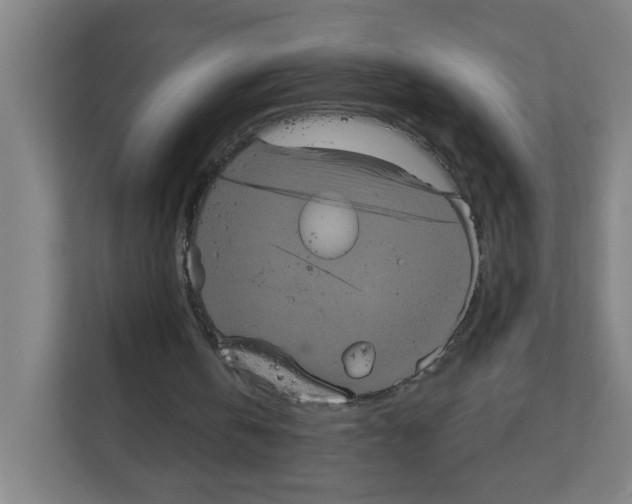 X0000111160146200908111201