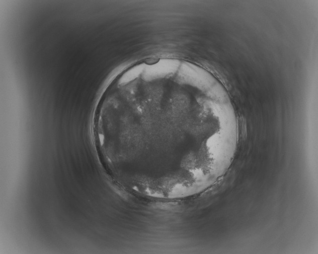 X0000111160147200908111201