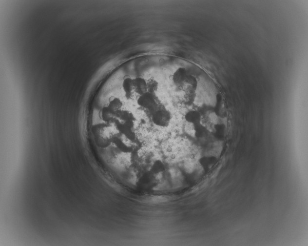 X0000111160149200908111201