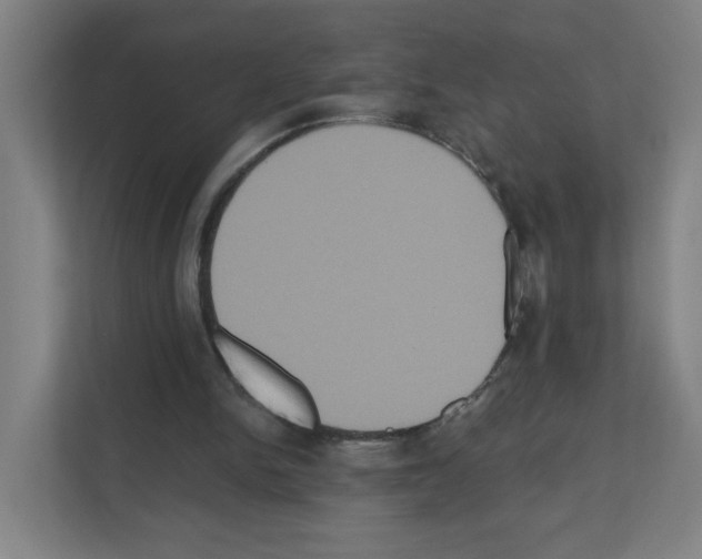 X0000111160150200908111201