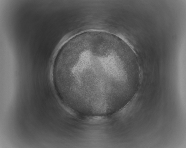X0000111160151200908111201