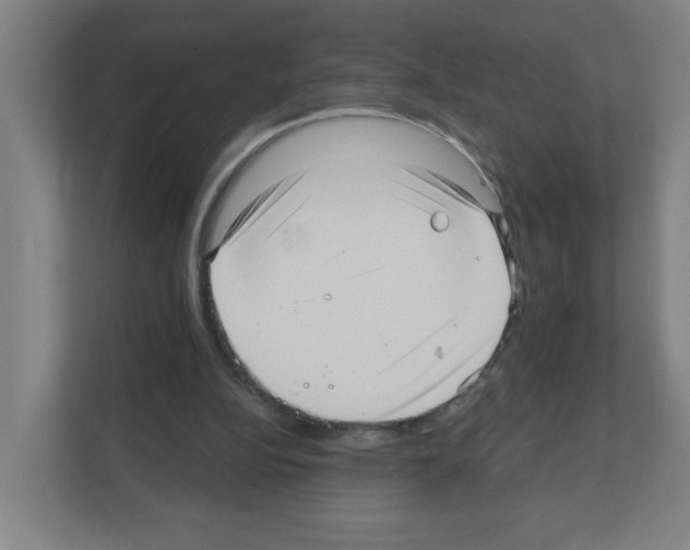 X0000111160152200908111201
