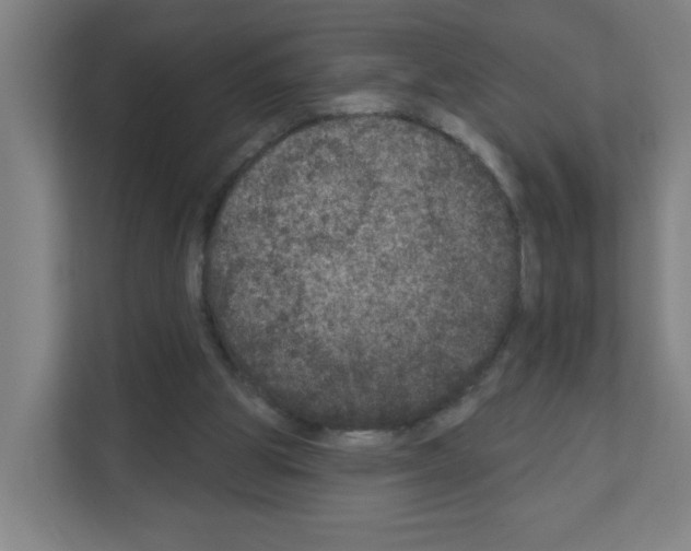 X0000111160153200908111201