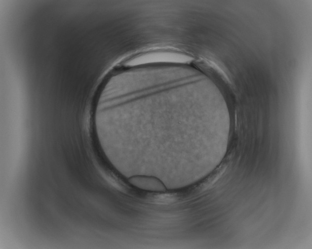 X0000111160156200908111201