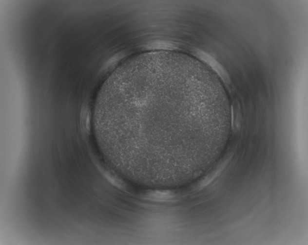 X0000111160157200908111201